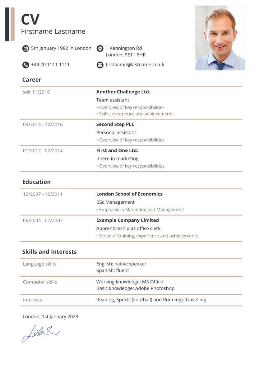 CV with icons